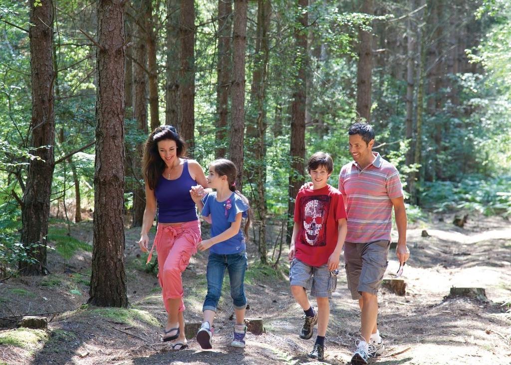 Oakdene Forest Ferndown Ngoại thất bức ảnh
